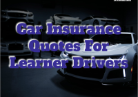 Car Insurance Quotes For Learner Drivers