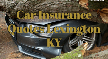 Car Insurance Quotes Lexington KY