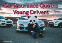 Car Insurance Quotes Young Drivers