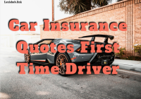 Car Insurance Quotes First Time Driver