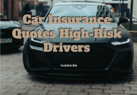 Car Insurance Quotes High-Risk Drivers