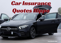 Car Insurance Quotes Hippo