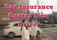 Car Insurance Quotes New Driver