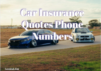 Car Insurance Quotes Phone Numbers