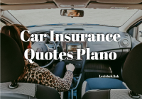 Car Insurance Quotes Plano